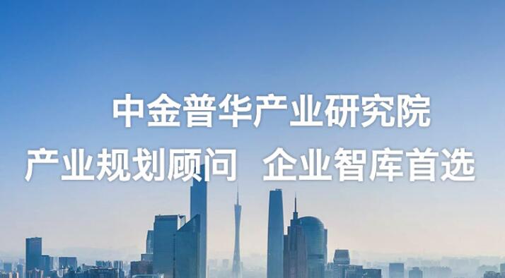 湖南衡陽-鋰離子動力電池建設項目可行性研究報告案例