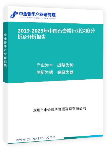 2019-2025年中國石膏粉行業(yè)深度分析及分析報告