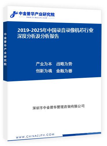 2019-2025年中國錄音錄像機(jī)芯行業(yè)深度分析及分析報(bào)告