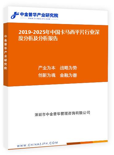 2019-2025年中國卡馬西平片行業(yè)深度分析及分析報告