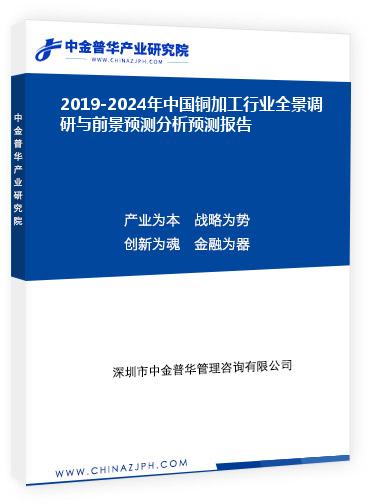 2019-2024年中國銅加工行業(yè)全景調(diào)研與前景預(yù)測分析預(yù)測報(bào)告