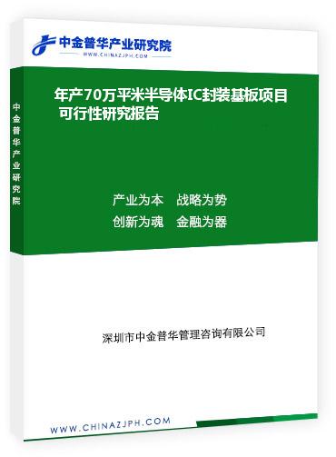 年產(chǎn)70萬平米半導體IC封裝基板項目 可行性研究報告